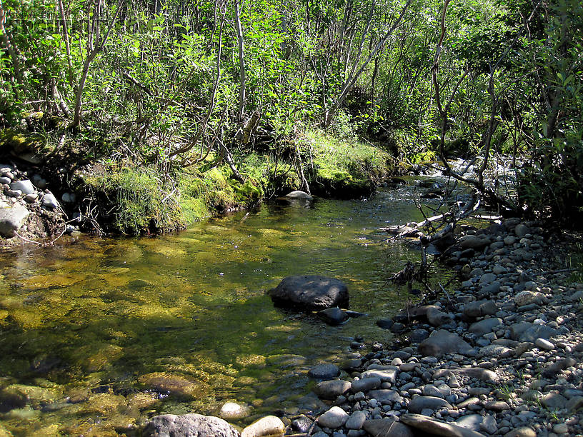  From Mystery Creek # 170 in Alaska.