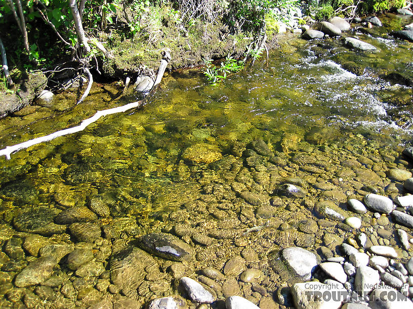  From Mystery Creek # 170 in Alaska.