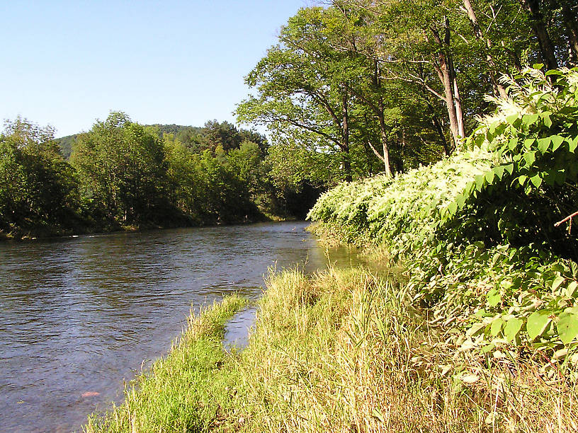  From the Beaverkill River in New York.