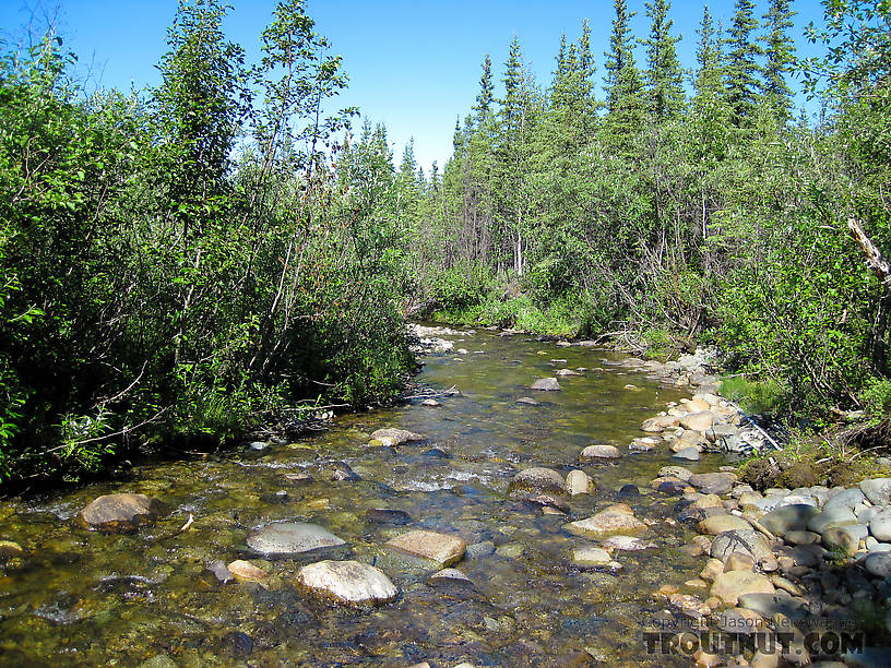  From Mystery Creek # 170 in Alaska.