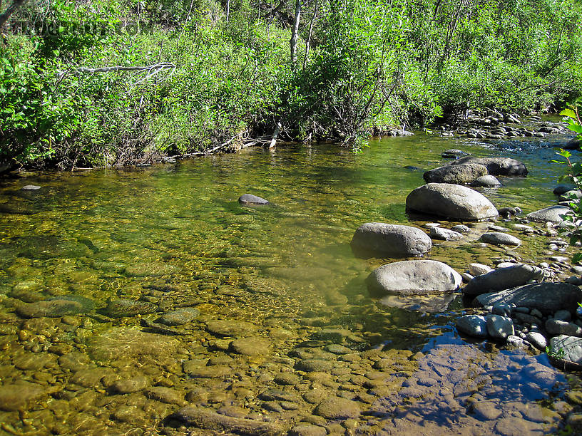  From Mystery Creek # 170 in Alaska.