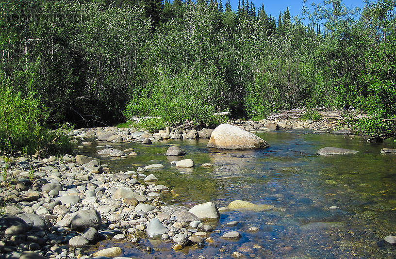  From Mystery Creek # 170 in Alaska.