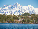  From Prince William Sound in Alaska.