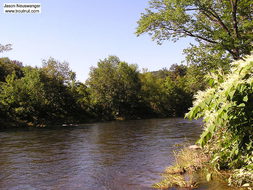  From the Beaverkill River in New York.