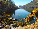  From Prince William Sound in Alaska.