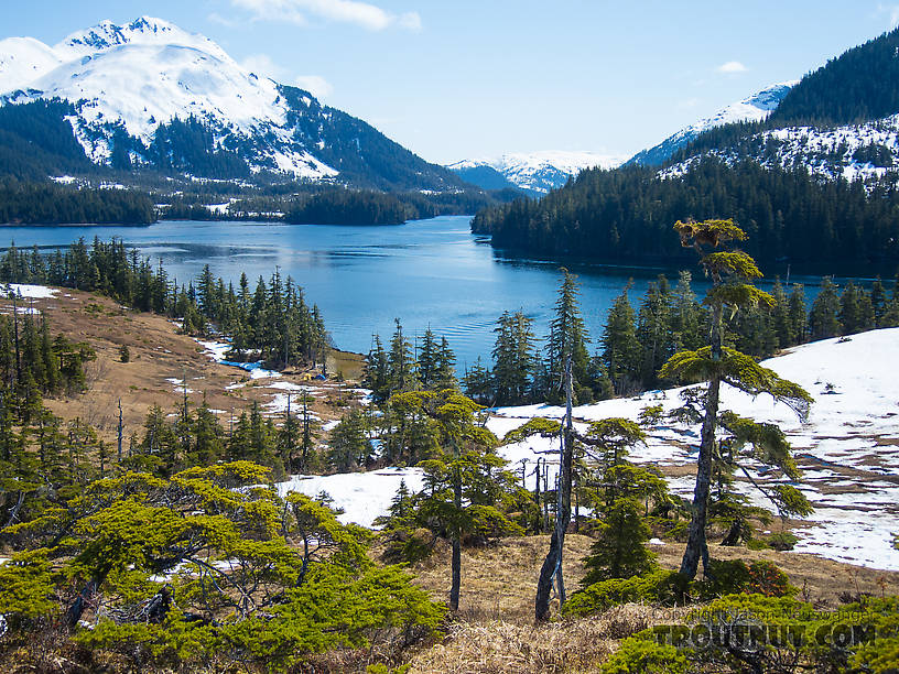  From Prince William Sound in Alaska.