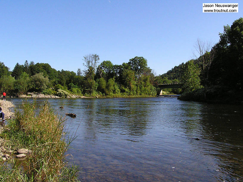 Two storied Catskill rivers become one at this pool. From the Beaverkill River in New York.