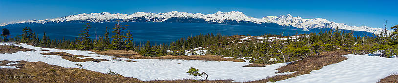  From Prince William Sound in Alaska.