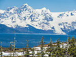  From Prince William Sound in Alaska.