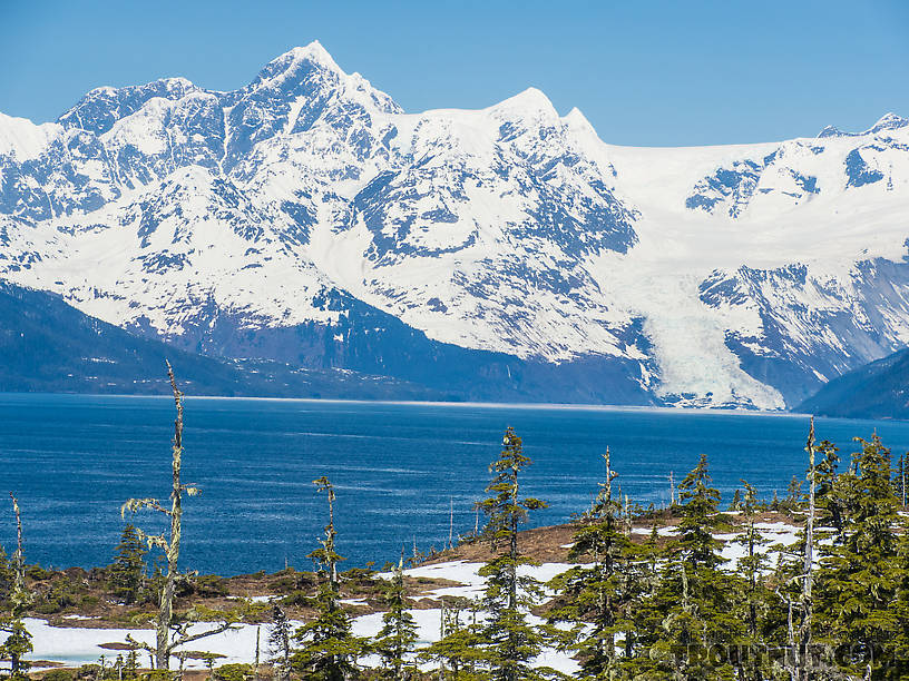  From Prince William Sound in Alaska.