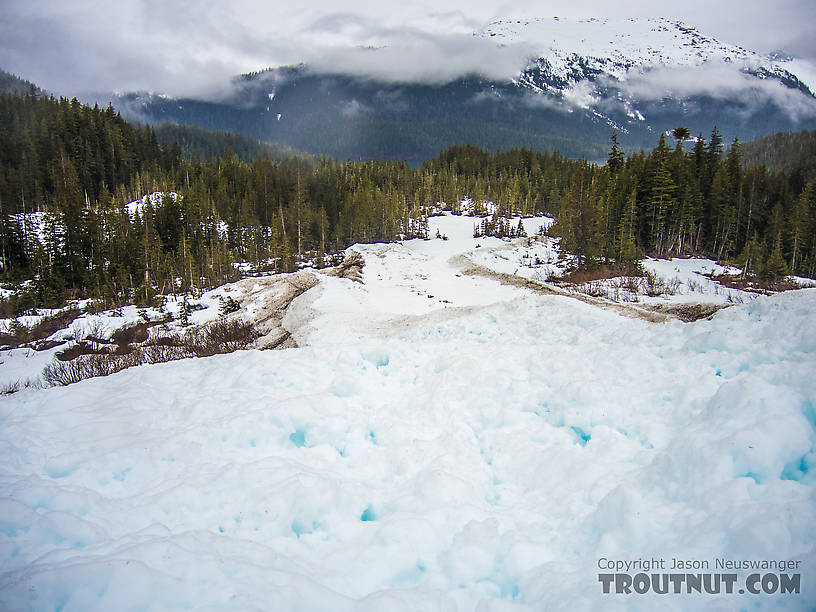 We made a slow trudge across this long strip of avalanche debris. From Prince William Sound in Alaska.