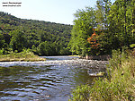  From the Beaverkill River (Upper) in New York.