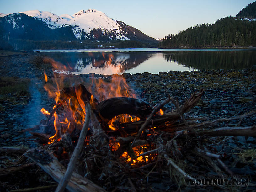  From Prince William Sound in Alaska.