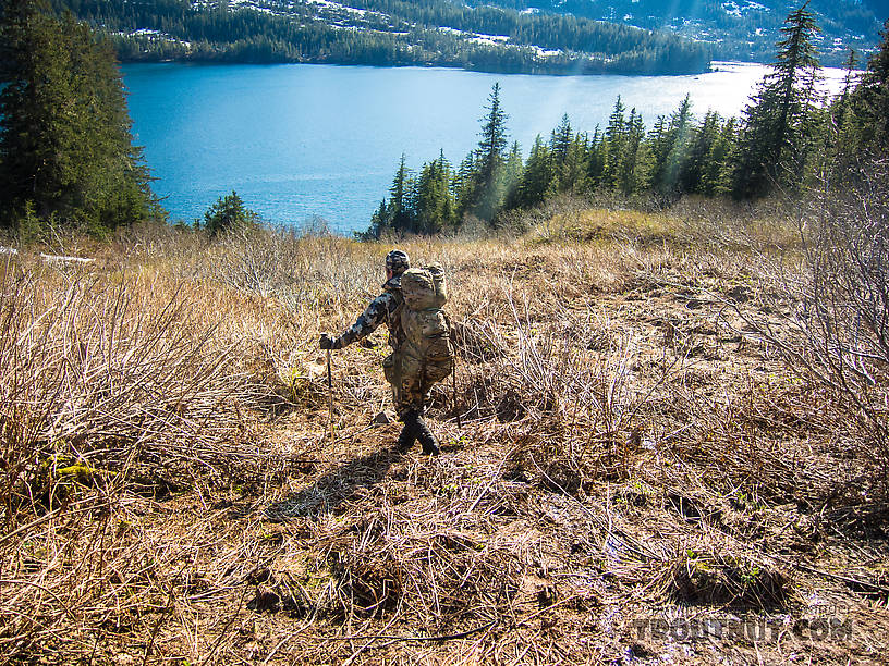 Working my way down the mountain with a backpack full of bear. From Prince William Sound in Alaska.