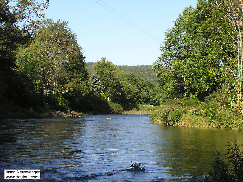  From the Beaverkill River (Upper) in New York.