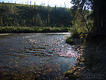 View of lower Nome Creek at the canoe launch for floating Beaver Creek (the next take-out is at the Yukon River bridge a couple weeks downstream). From Nome Creek in Alaska.