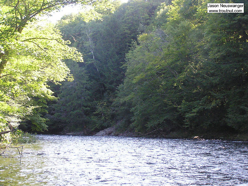  From the Beaverkill River (Upper) in New York.