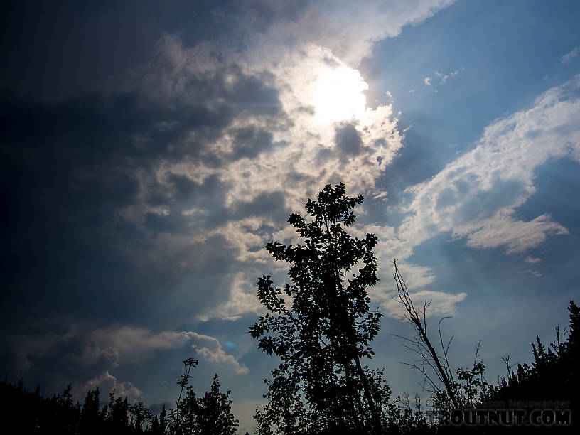 This thunderstorm took away my sunlight, brought out the mosquitoes, and nearly chased me off the water... but most of the thunder was distant and slowly but surely going the other direction. From Mystery Creek # 170 in Alaska.