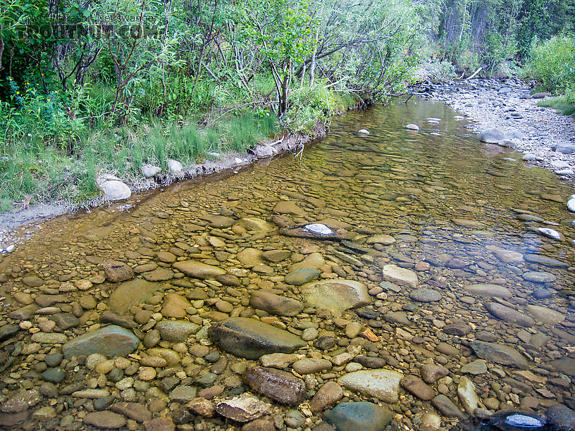  From Mystery Creek # 170 in Alaska.