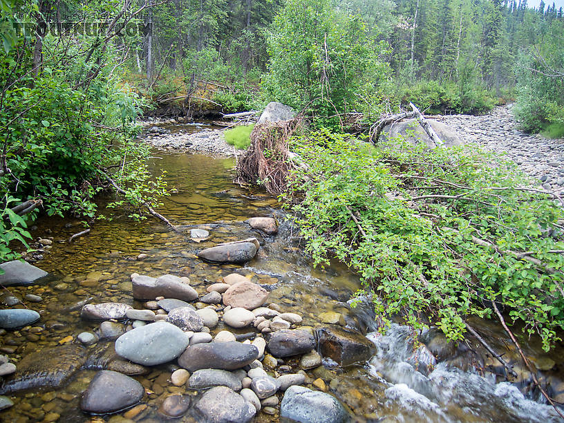  From Mystery Creek # 170 in Alaska.