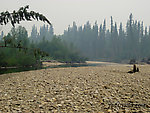  From the Chena River in Alaska.