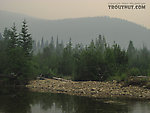  From the Chena River in Alaska.