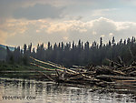  From the Chena River in Alaska.