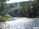  From the Beaverkill River (Upper) in New York.