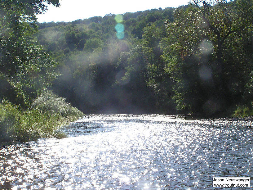  From the Beaverkill River (Upper) in New York.