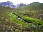 Beautiful mountain valley where I got my caribou last year. From Clearwater Mountains in Alaska.