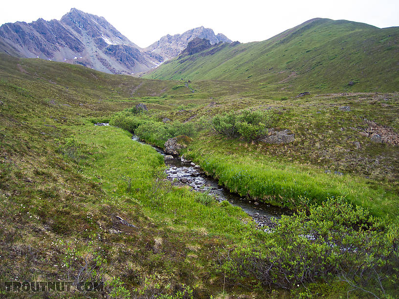 Beautiful mountain valley where I got my caribou last year. From Clearwater Mountains in Alaska.