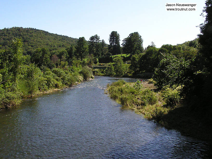  From the Beaverkill River (Upper) in New York.