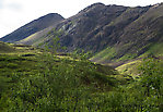 Looking up toward the pass we had to go through to start our second day hiking. From Clearwater Mountains in Alaska.