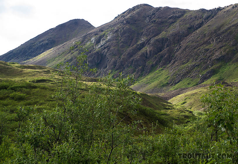 Looking up toward the pass we had to go through to start our second day hiking. From Clearwater Mountains in Alaska.