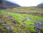 Creek flowing out of the first pass we climbed. From Clearwater Mountains in Alaska.