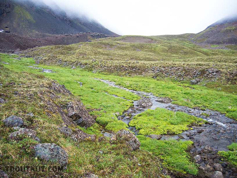 Creek flowing out of the first pass we climbed. From Clearwater Mountains in Alaska.