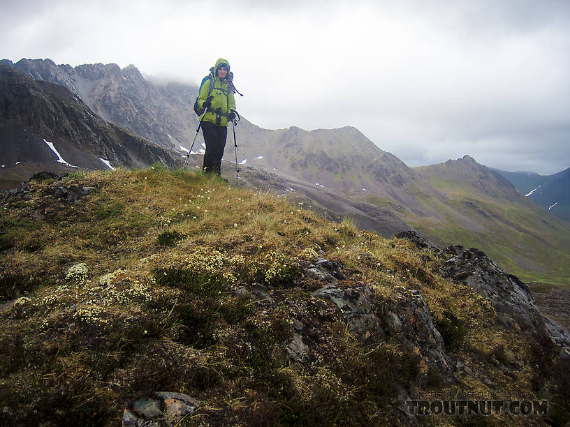 Lena at the top of the first pass we climbed through. From Clearwater Mountains in Alaska.