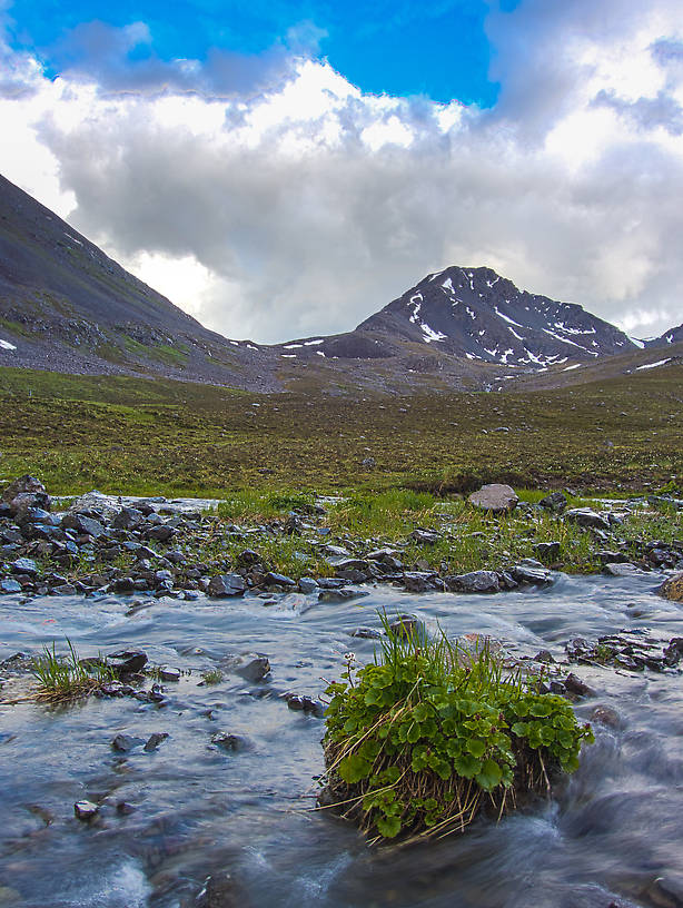 Upper Sout Fork Pass Creek valley From Clearwater Mountains in Alaska.