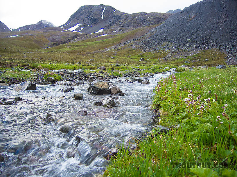  From Clearwater Mountains in Alaska.