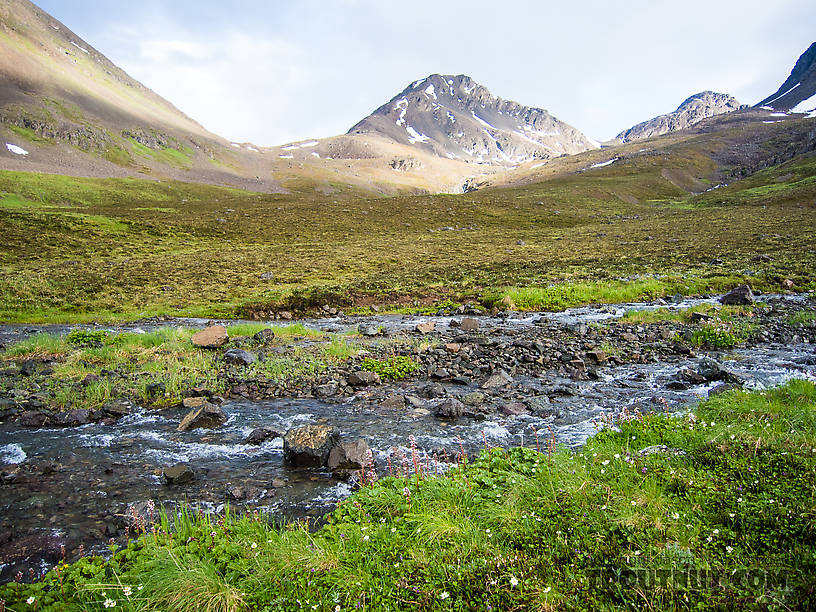  From Clearwater Mountains in Alaska.