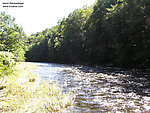  From the Beaverkill River (Upper) in New York.