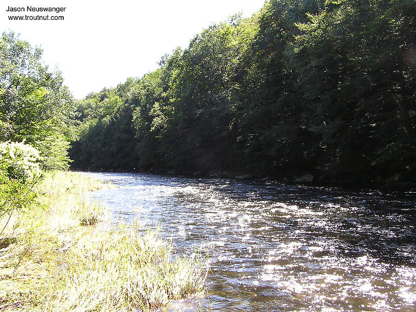  From the Beaverkill River (Upper) in New York.