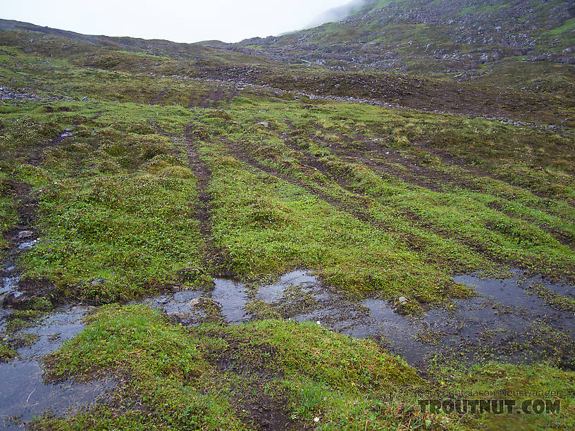 Caribou trails From Clearwater Mountains in Alaska.