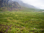 Brush to cross in Windy Creek valley From Clearwater Mountains in Alaska.