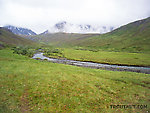 Pretty alpine meadow From Clearwater Mountains in Alaska.