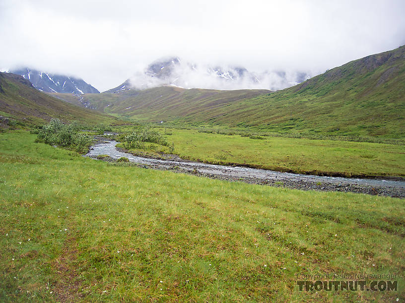 Pretty alpine meadow From Clearwater Mountains in Alaska.