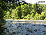  From the Beaverkill River (Upper) in New York.