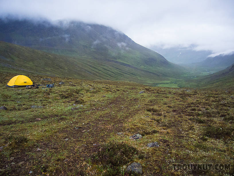 Third night's camp. Looking down-valley toward upper Windy Creek. From Clearwater Mountains in Alaska.