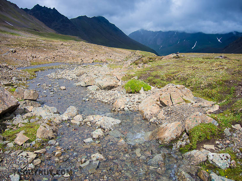  From Clearwater Mountains in Alaska.