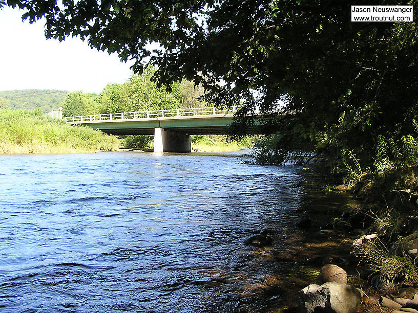  From the Beaverkill River (Upper) in New York.